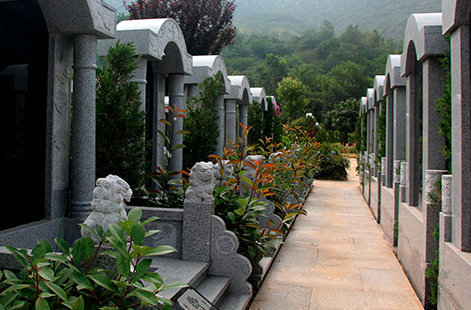 河南华夏龙园 河南华夏龙园
